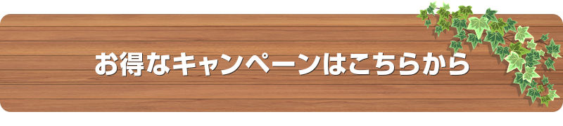 お得なキャンペーンはこちらから